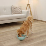 Ciotola da leccare per cani e gatti Ø 20,5cm turchese