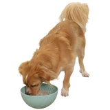 Ciotola da leccare per cani e gatti Ø 20,5cm turchese