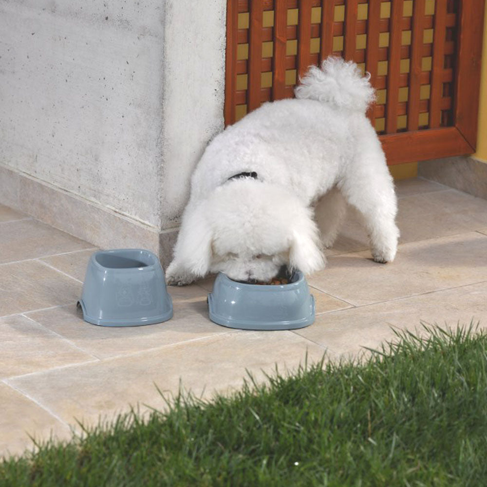 Ciotola in plastica antiscivolo colori assortiti