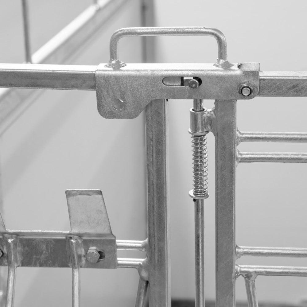 Box per vitelli grande premium con fondo orientabile resistente