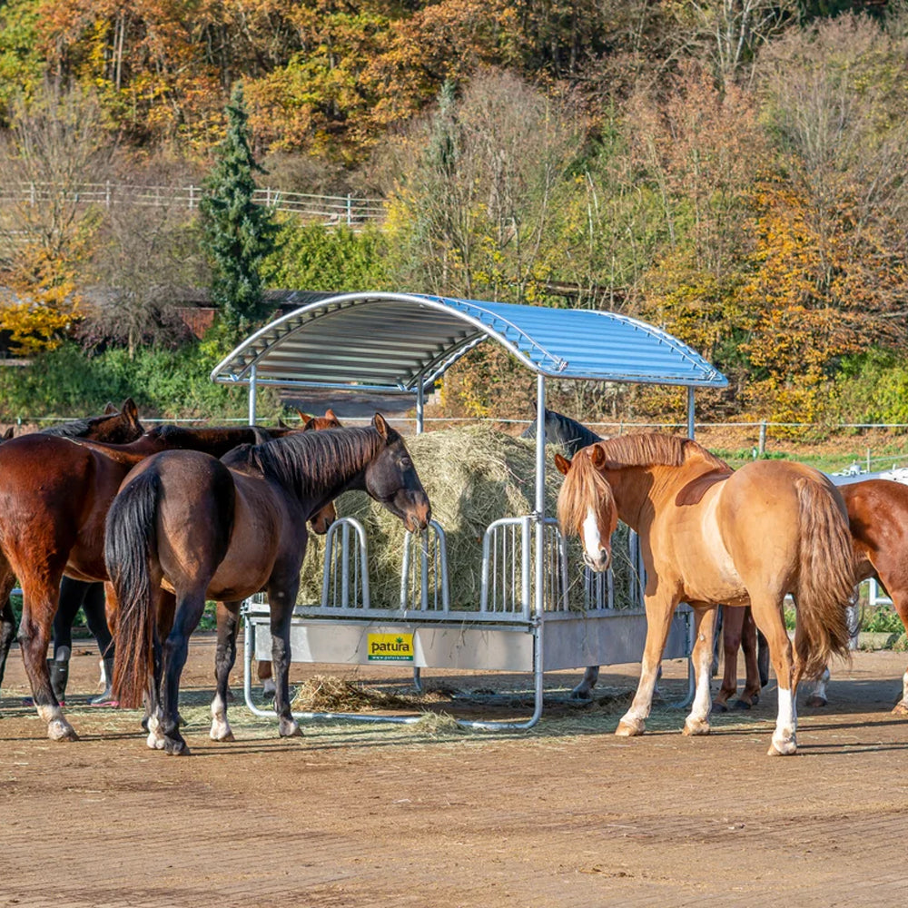 Mangiatoia Rettangolare Compatta con Frontale a Testiera di Sicurezza