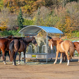 Mangiatoia Rettangolare Compatta con Frontale a Testiera di Sicurezza