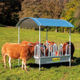 Mangiatoia Rettangolare Compatta con Frontale a Testiera di Sicurezza