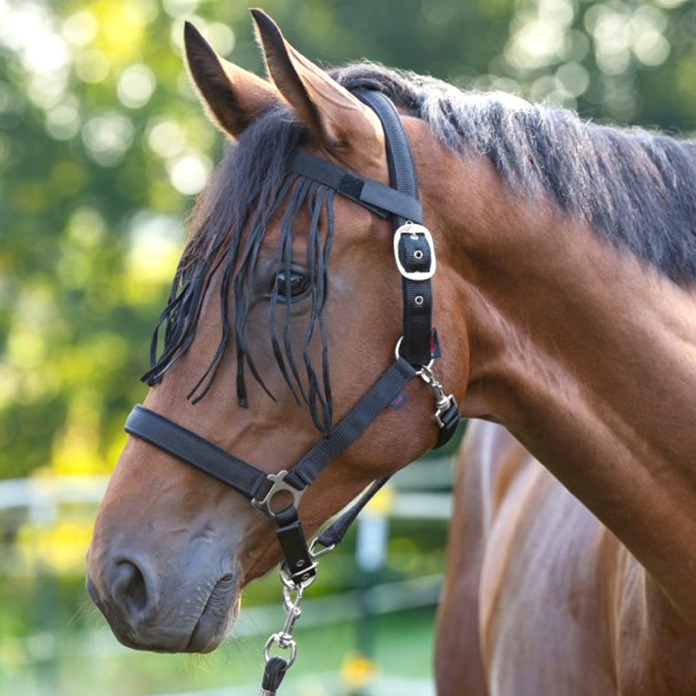 Frangia antimosche con chiusura a strappo – protezione occhi cavalli