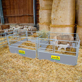 Recinto per stalla ovini con box parto e cancello