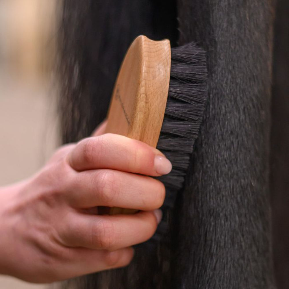 Brusca per la pulizia Exclusive Line