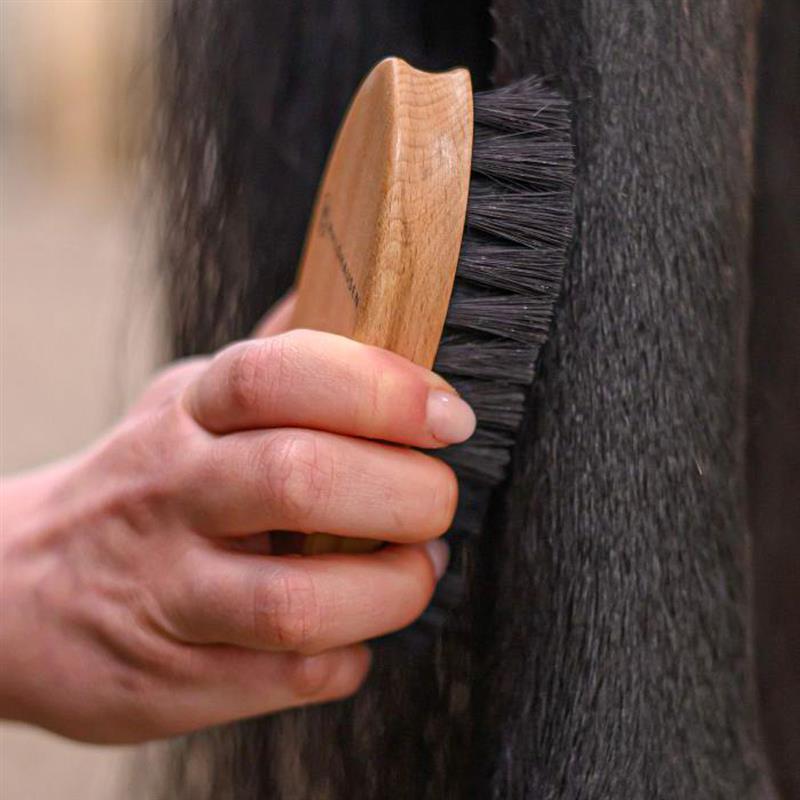 Exclusive Line Spazzola per la sporco per cavalli Toelettatura