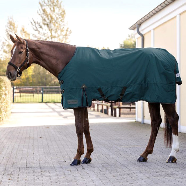 Coperta Outdoor Arctic per cavalli - 200gr