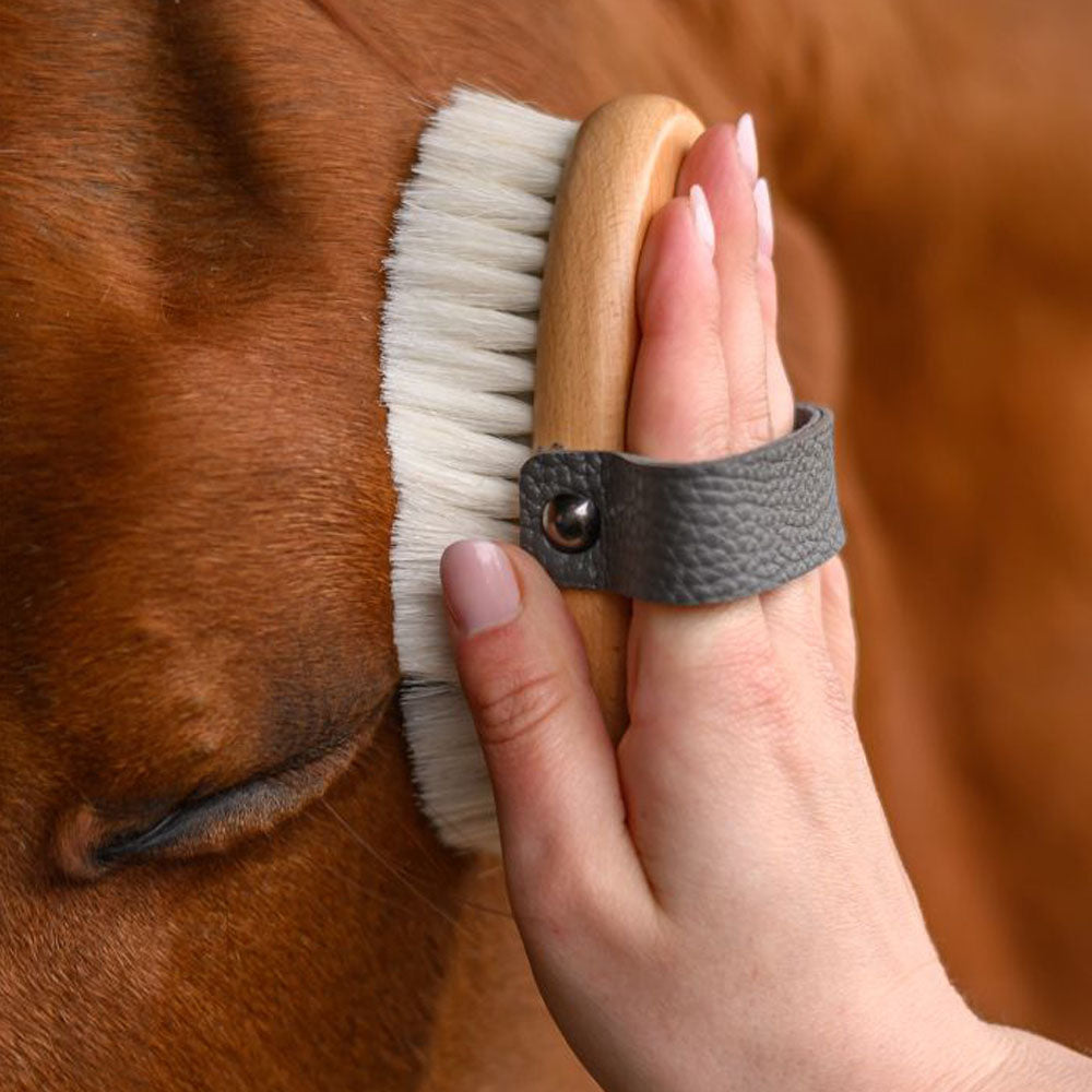 Spazzola per la cura del cavallo Exclusive Line