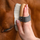 Spazzola per la cura del cavallo Exclusive Line