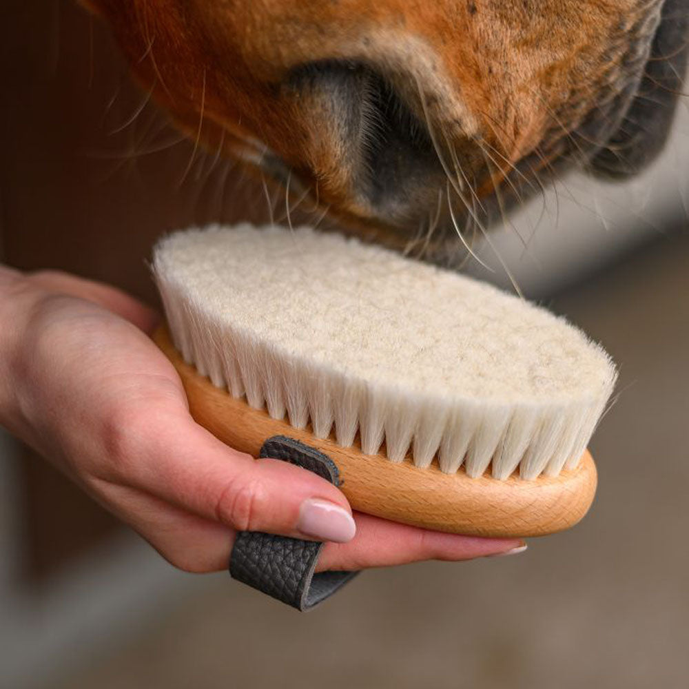 Spazzola per la cura del cavallo Exclusive Line