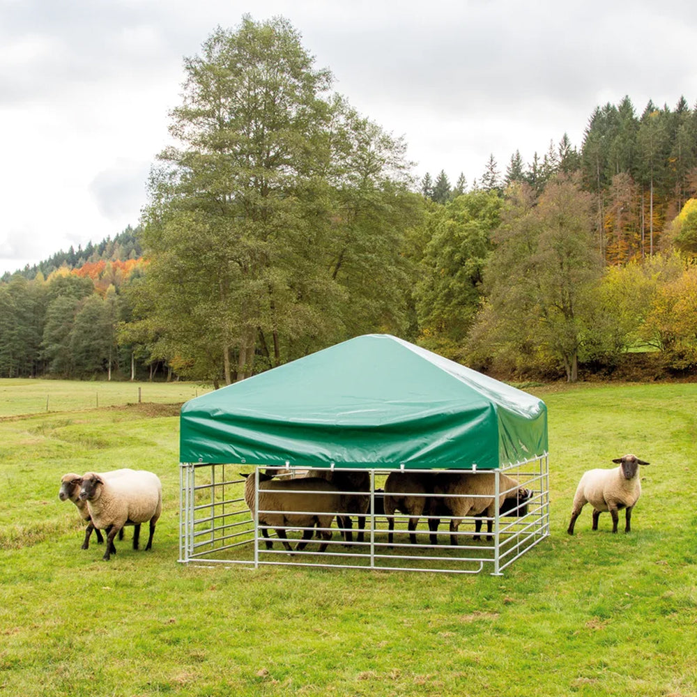 Tenda da pascolo per pecore e Capre, Altezza 2,30m, con Set Adattatore Steckfix Hurdles XL incluso