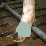 Fasciatura Vet Flex - Fascia Elasticizzata per Supporto e Protezione Veterinaria - Agritura