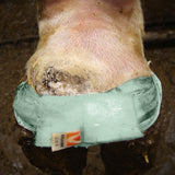 Fasciatura Vet Flex - Fascia Elasticizzata per Supporto e Protezione Veterinaria - Agritura