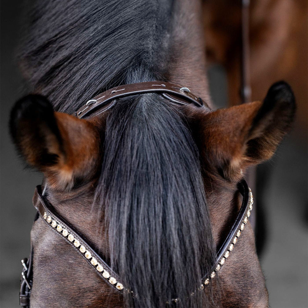 Briglia a Filetto Waldhausen X-Line Relaxation