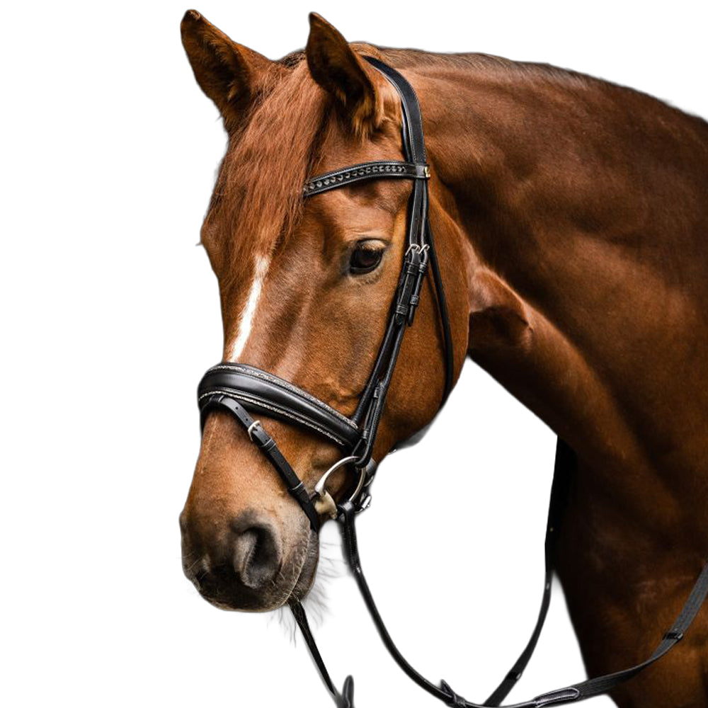 Briglia Waldhausen S-Line Glamour