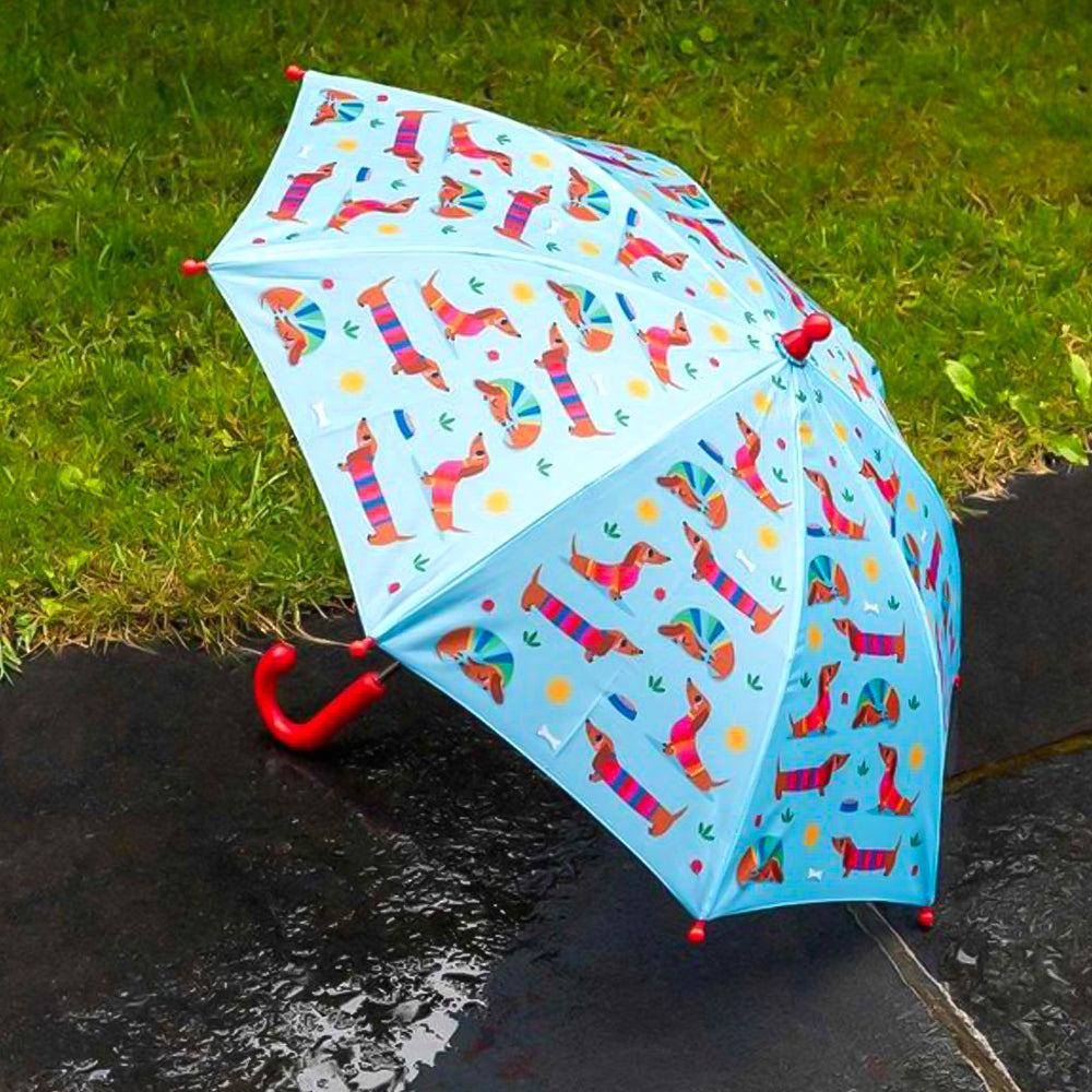 Children’s Umbrella Rex London