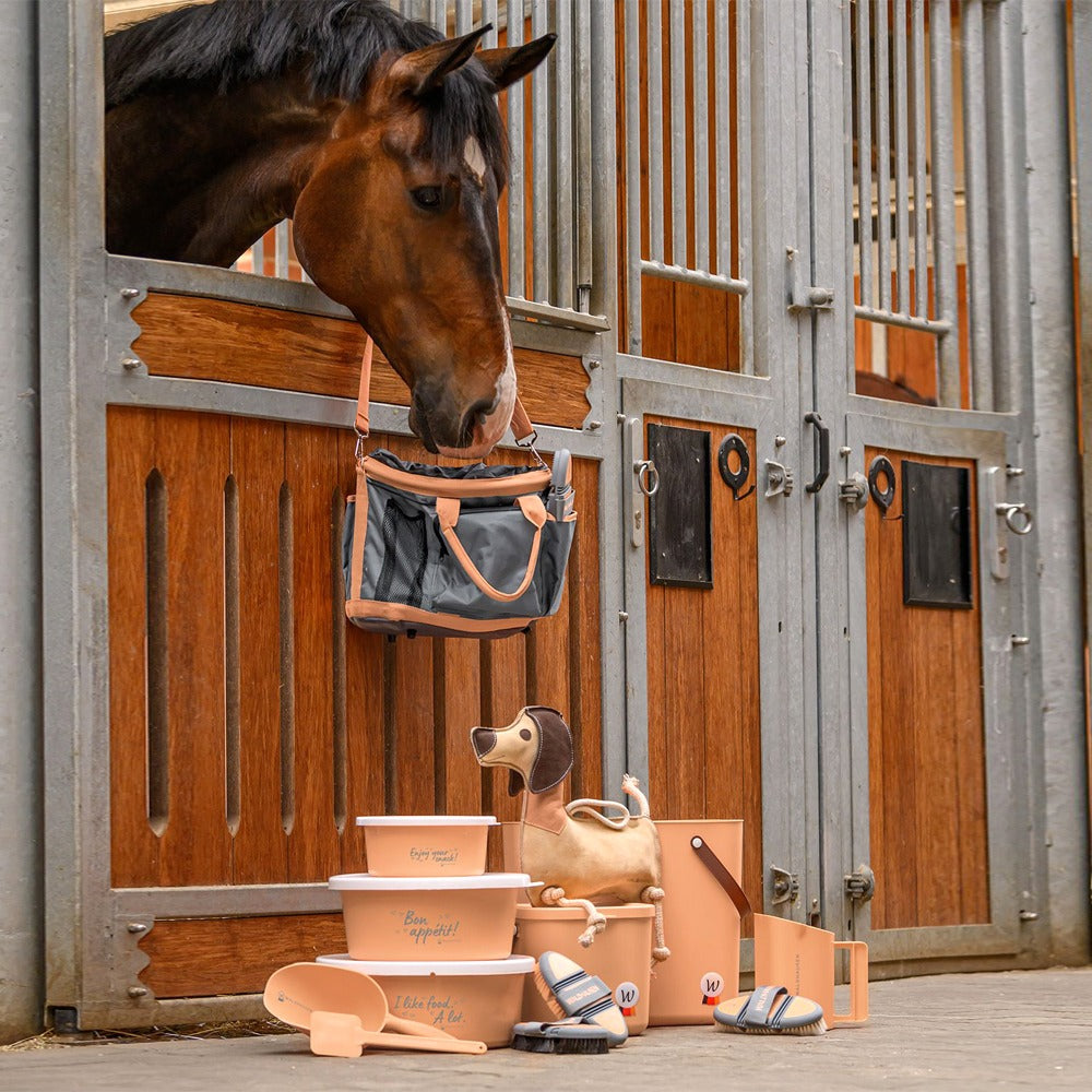 Ciotola per alimenti con coperchio 5L
