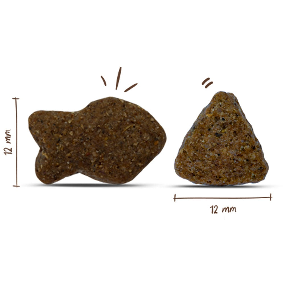 Bosch Adult Salmone Fresco e Patate Crocchette Complete per Cani