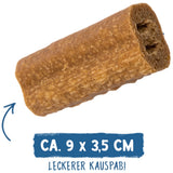 Bosch Sammy’s Fatina dei Denti