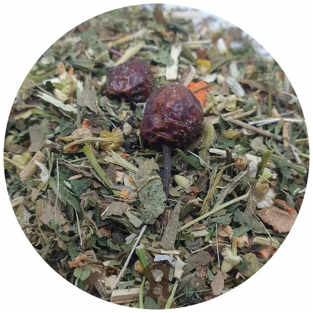 Natusat Kräutermischung Seniorenkräuter 1kg