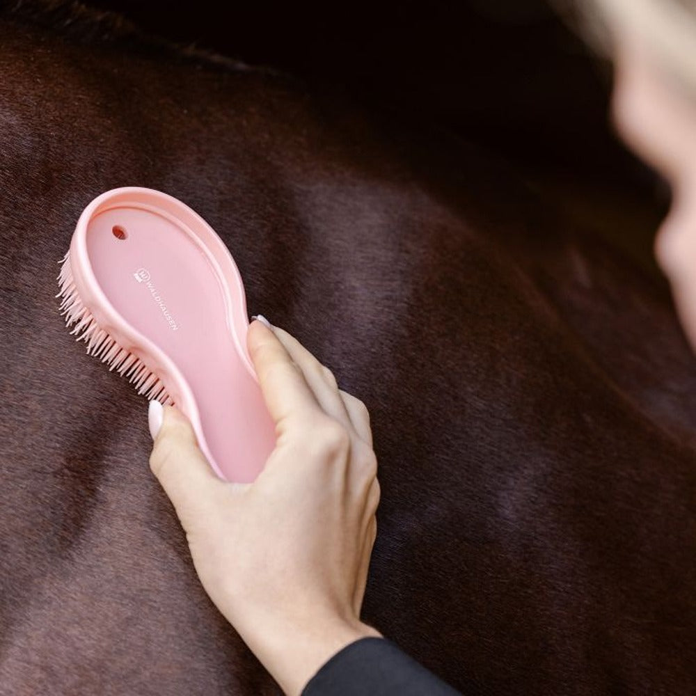All-in-one Brush
