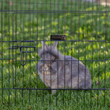 Recinto per piccoli animali Milo 76 × 56cm