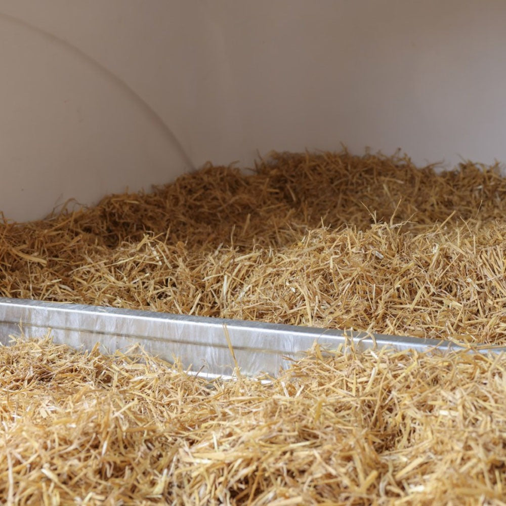 CalfHouse Premium DUO mit Umzäunung