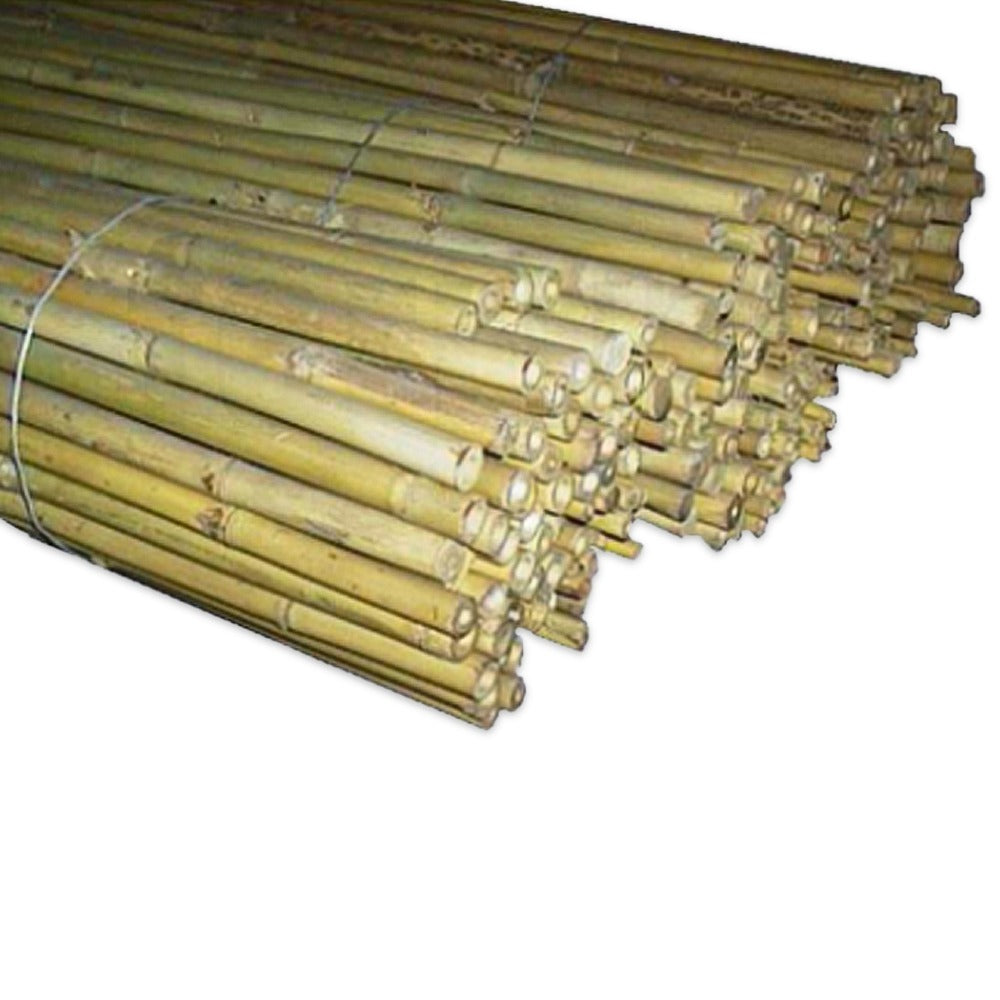 Bamboo Cane 210cm, Ø 26–28mm