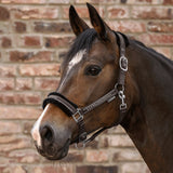 Elegantes Halfter mit Glitzer und Weicher Polsterung