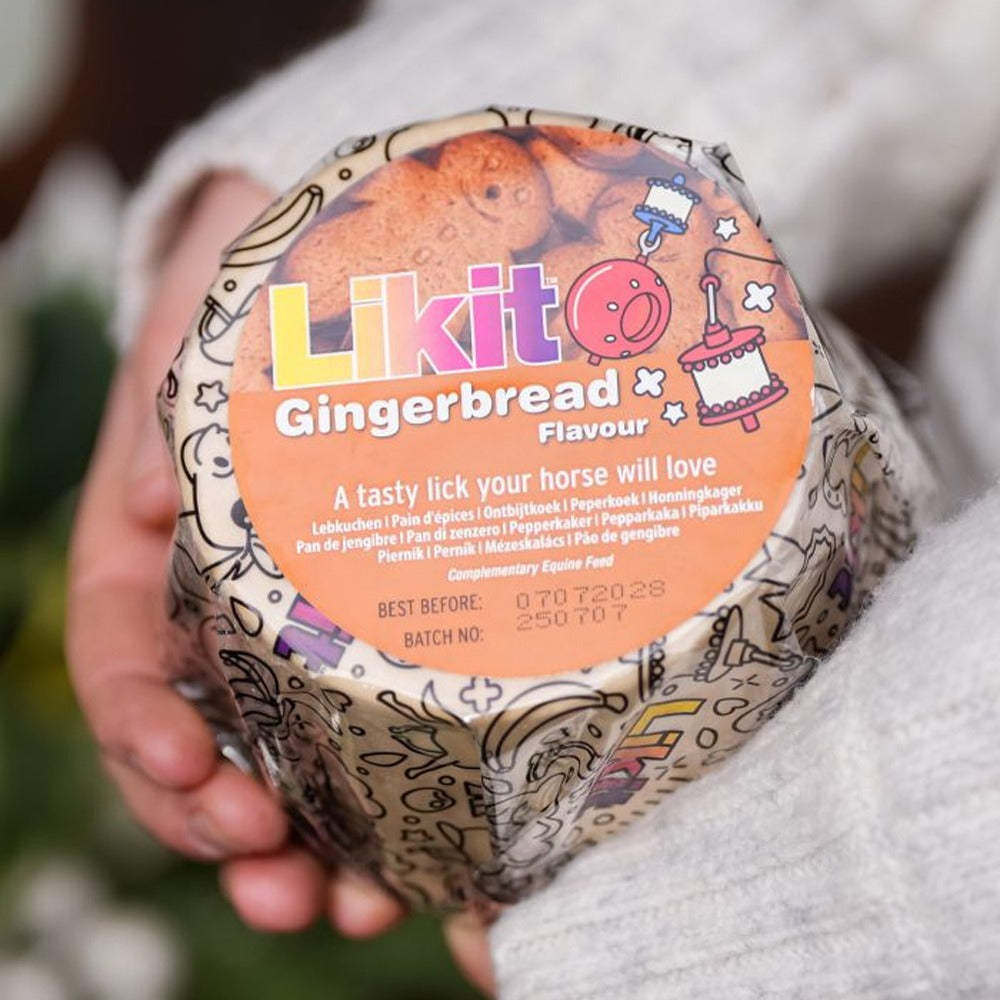 Likit Leckstein für Pferde 625g
