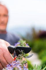 Forbici da giardino bypass 19 cm