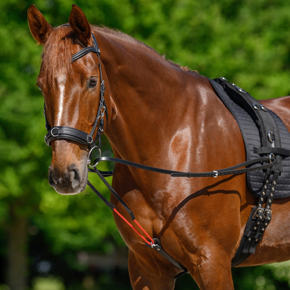 W-trainRein Adjustable Leather Triangle Reins Horse Training