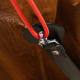 W-trainRein Adjustable Leather Triangle Reins Horse Training