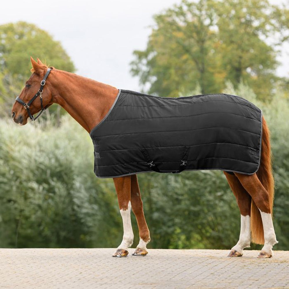 Coperta Box Cavallo Economic 300g Invernale Calda Comfort