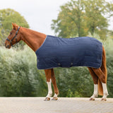 Coperta Box Cavallo Economic 300g Invernale Calda Comfort
