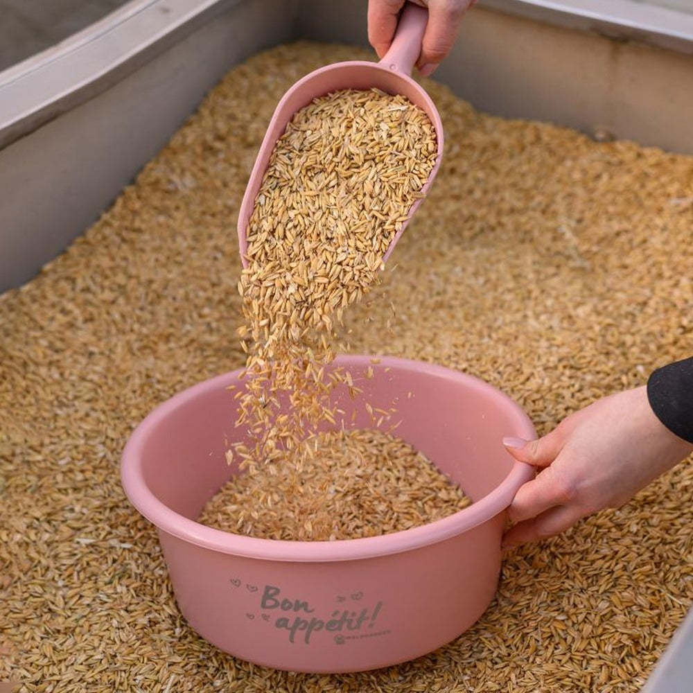 Paletta Dosatrice Per Mangime In Plastica Alimentare 0,5lt