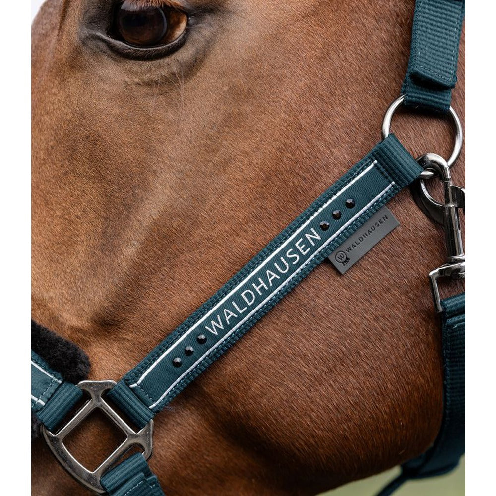 Elegant Halter with Glitter and Soft Padding