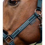Elegant Halter with Glitter and Soft Padding