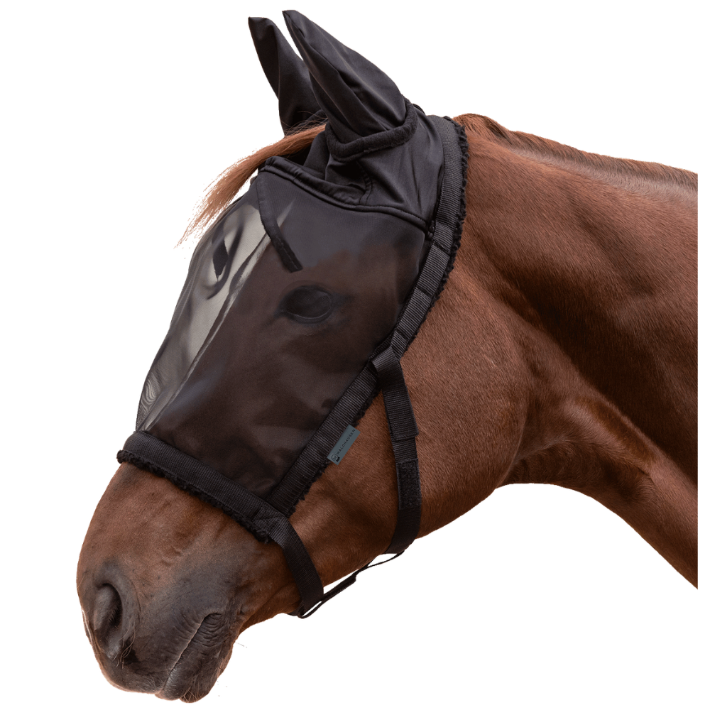 Weidehalfter mit Fliegenmaske