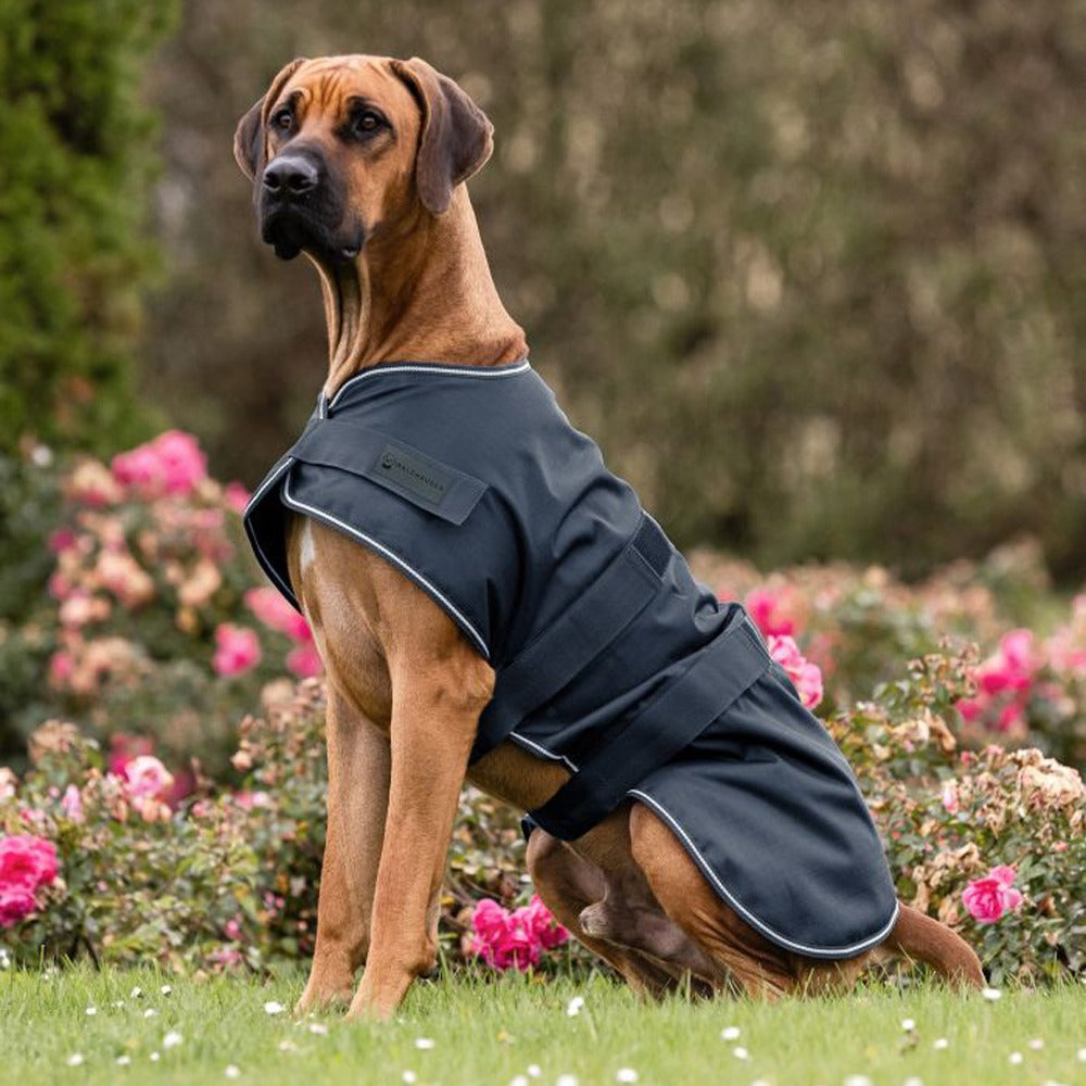 Dog Rain Coat