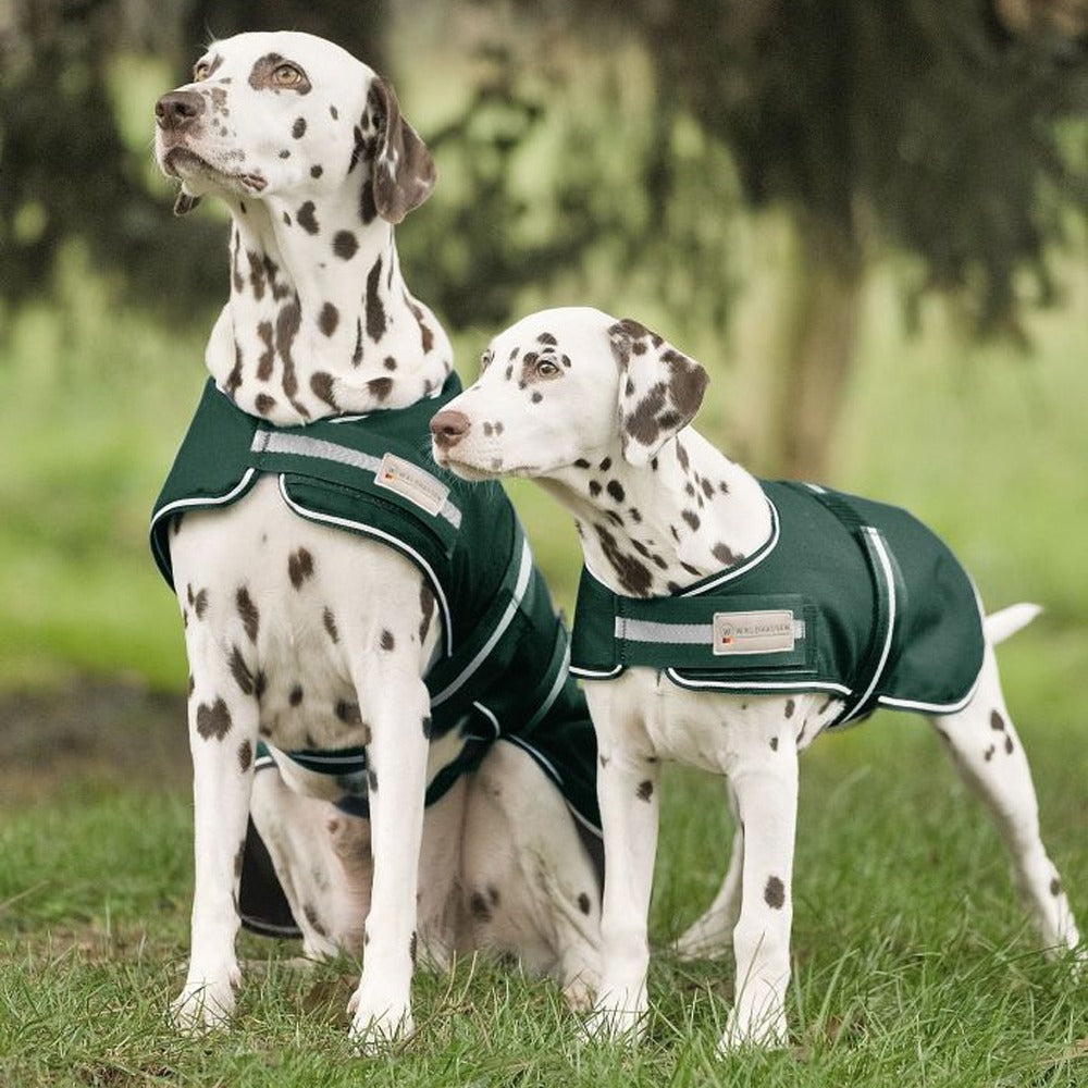 Dog Rain Coat