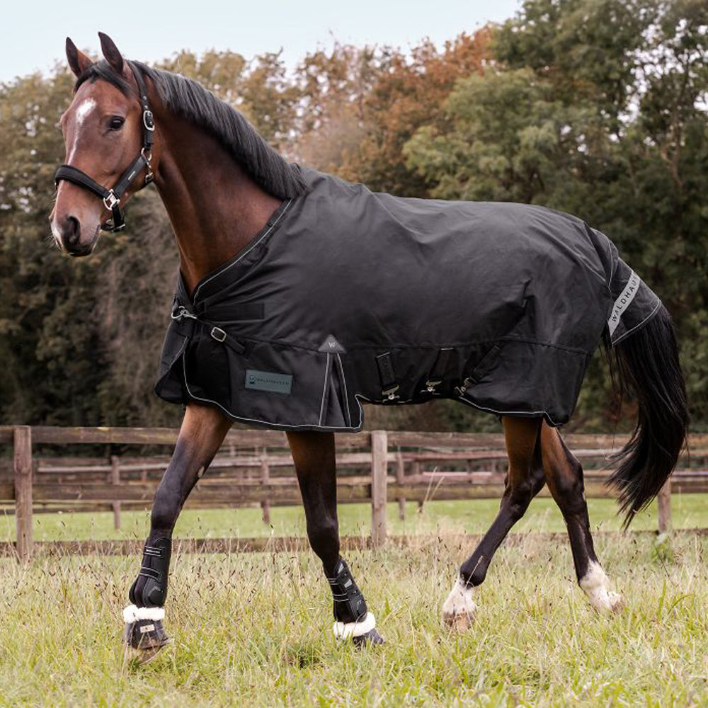 Scandic Outdoordecke Multi-Layer 250g/100g für Pferde