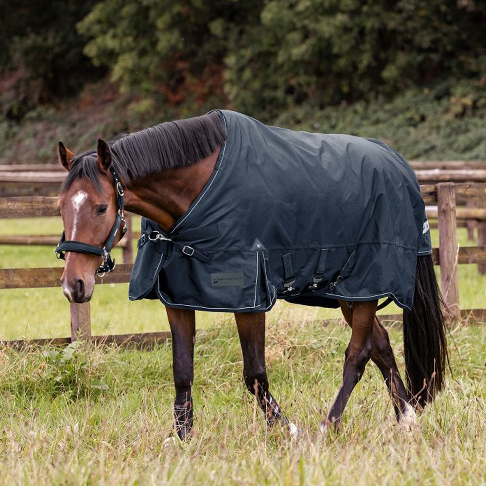 Scandic Outdoordecke Multi-Layer 250g/100g für Pferde
