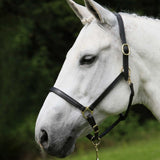 STAR Robust Black Leather Halter Adjustable Padded Horse Halter