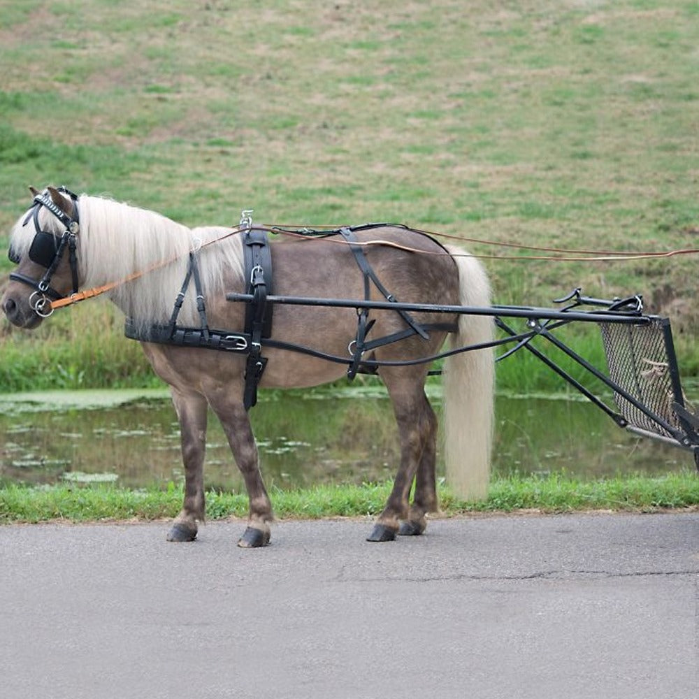 Economic Driving Harness Pony Shetty Black Complete Leather Set
