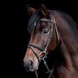 Waldhausen X-Line Work Bridle with Anatomical Headpiece
