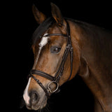 Waldhausen X-Line Charmbit Bridle with Anatomical Headpiece