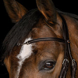 Waldhausen X-Line Charmbit Bridle with Anatomical Headpiece