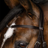 Waldhausen X-Line Charmbit Bridle with Anatomical Headpiece